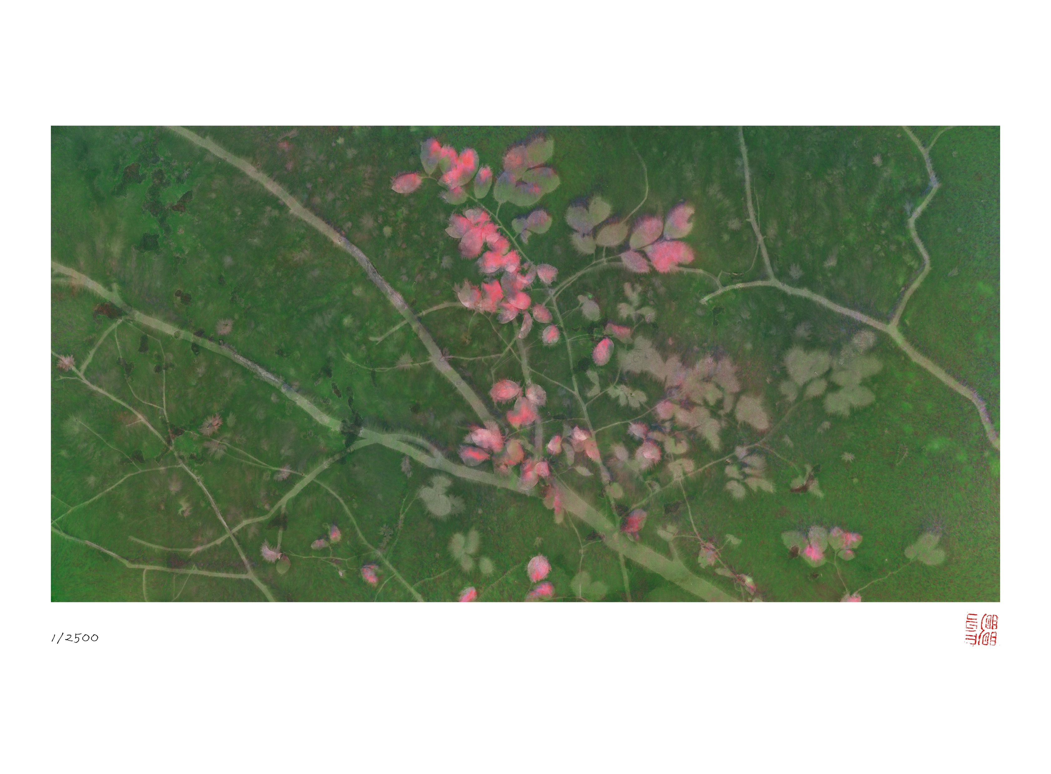 1730193487571600.png