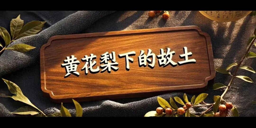 1766989363563818.jpg 1766989363563818.jpg