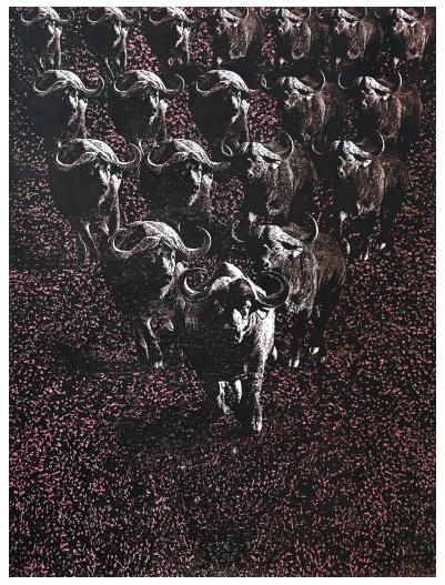 1768371121936903.png 1768371121936903.png